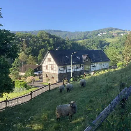 Berg Blick Eifler Bauernhaus Modern Restauriert Simmerath Buitenkant foto