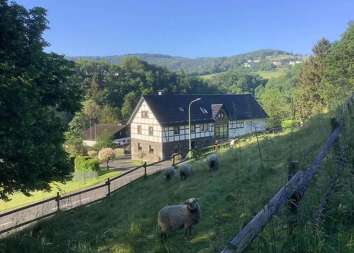 Berg Blick Eifler Bauernhaus Modern Restauriert