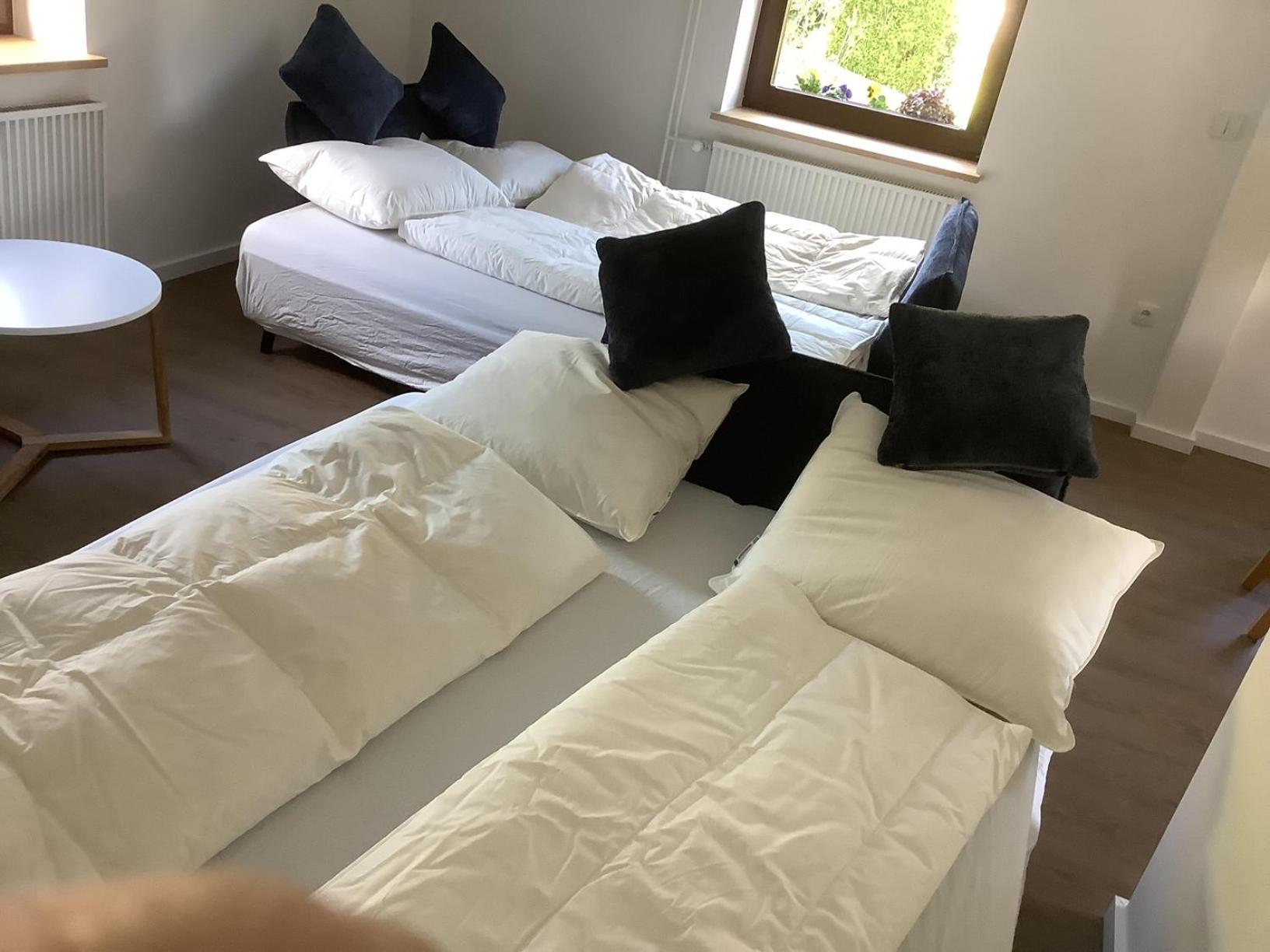 Berg Blick Eifler Modern Restauriert Apartment