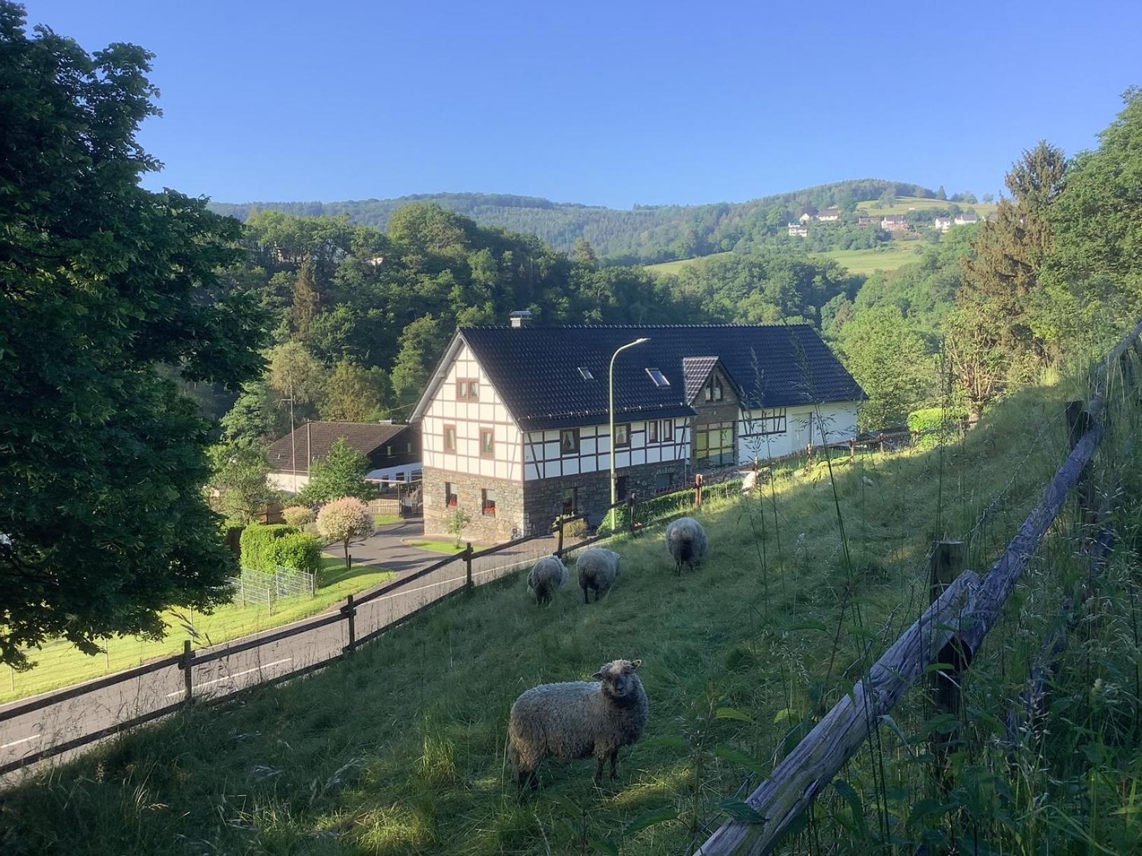 Berg Blick Eifler Modern Restauriert Apartment *