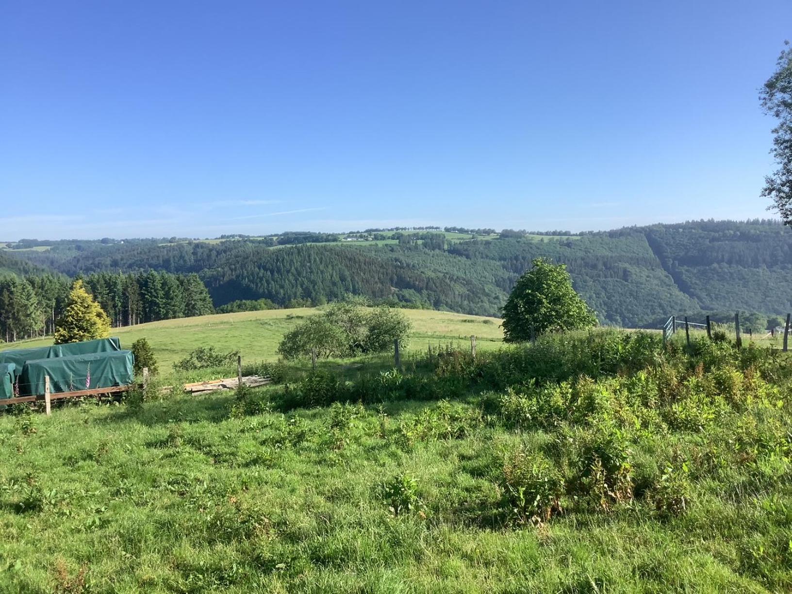 Berg Blick Eifler Modern Restauriert
